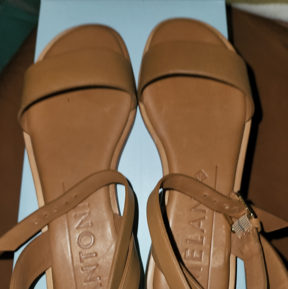 Antonio Melani, the Lukee Ankle Strap Flat Sandals